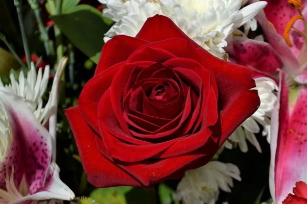 Rosas funebres flores para difuntos Burgos